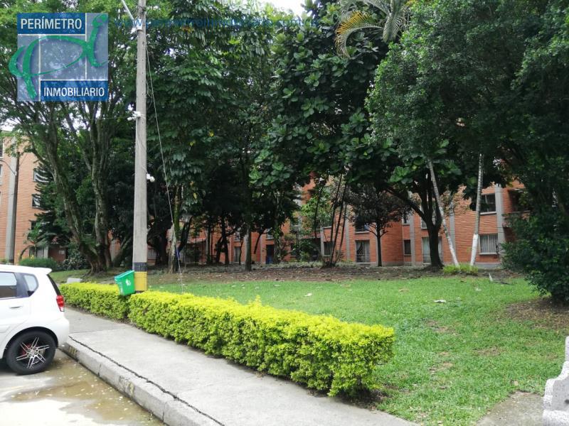 Apartamento          17