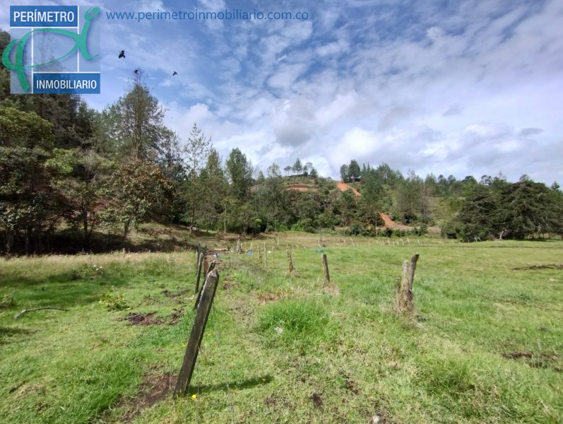 Terreno 5