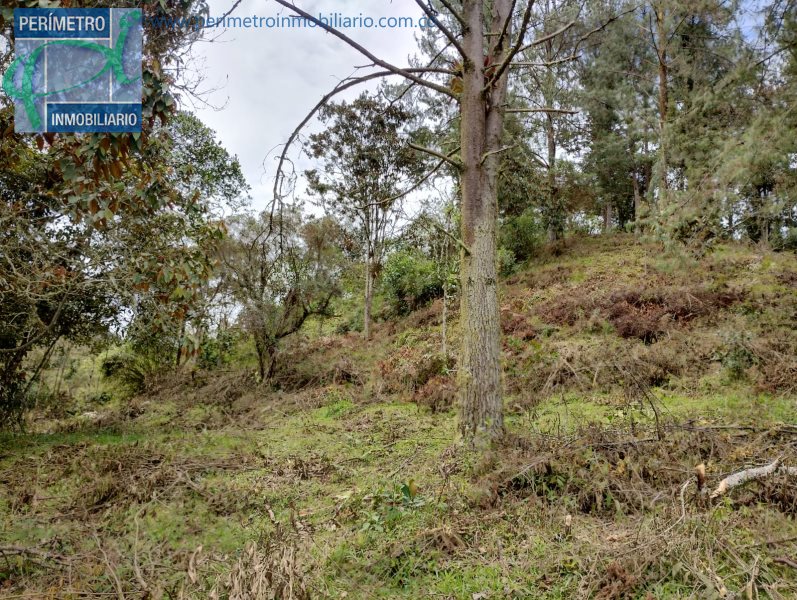 Terreno 6