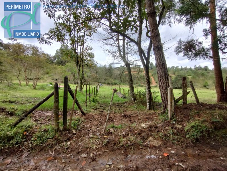 Terreno 16