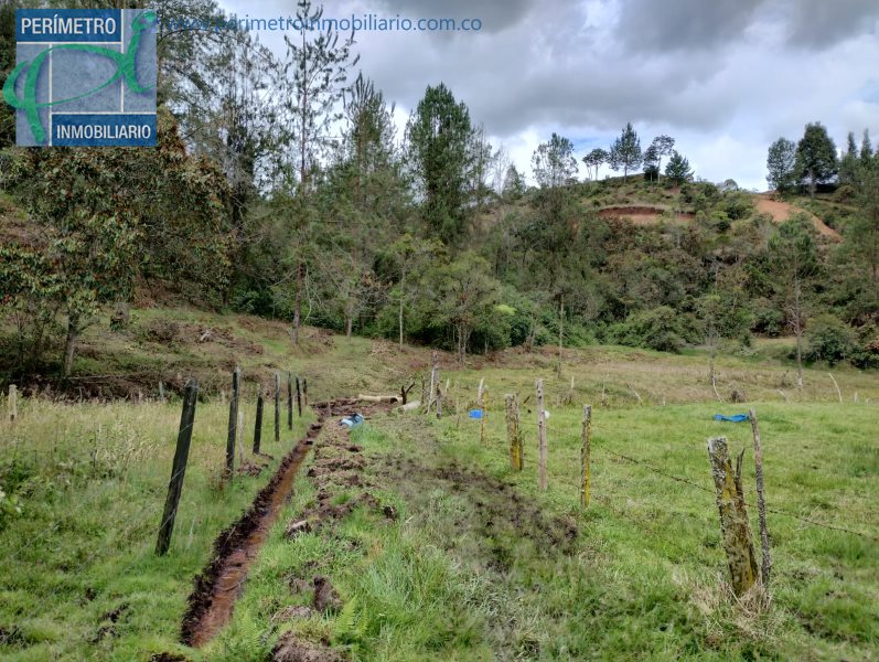 Terreno 2