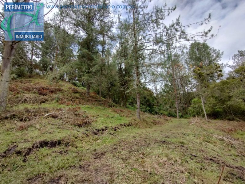 Terreno 19
