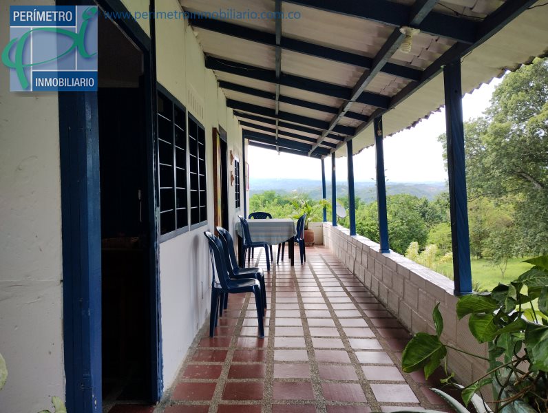 Finca 6