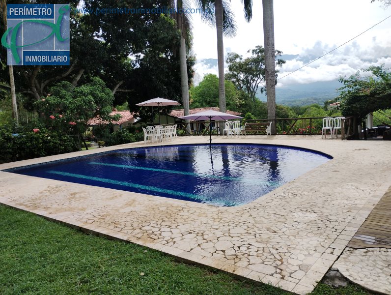 Finca 4