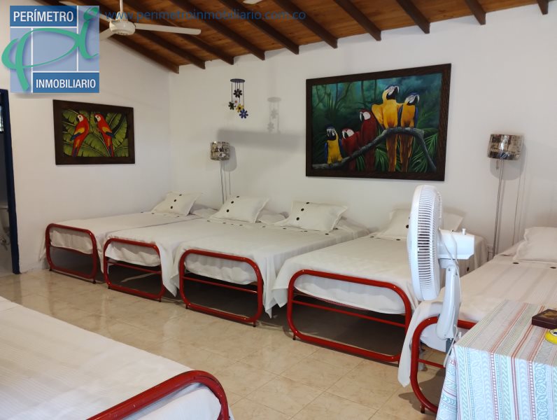 Finca 13