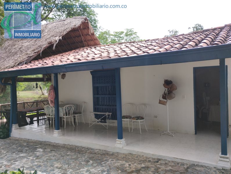 Finca 12