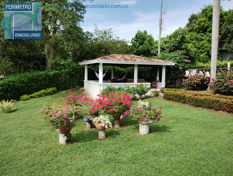 Finca 3