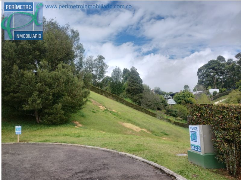 Terreno 2