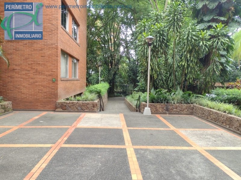 Apartamento 19