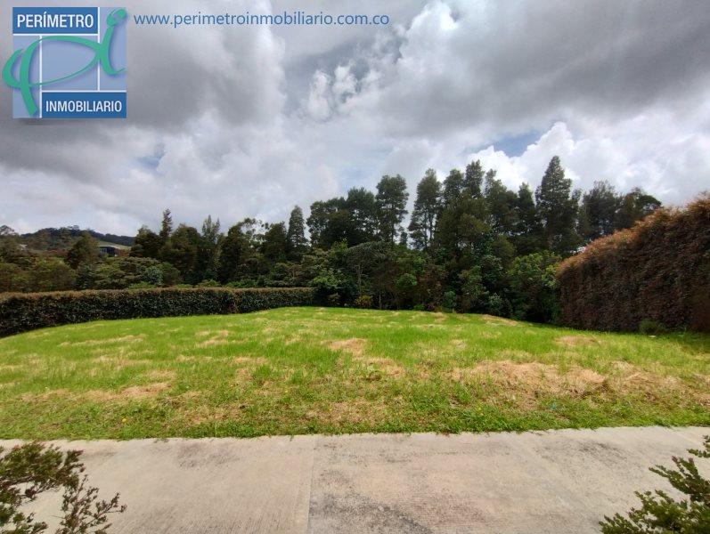 Terreno 4