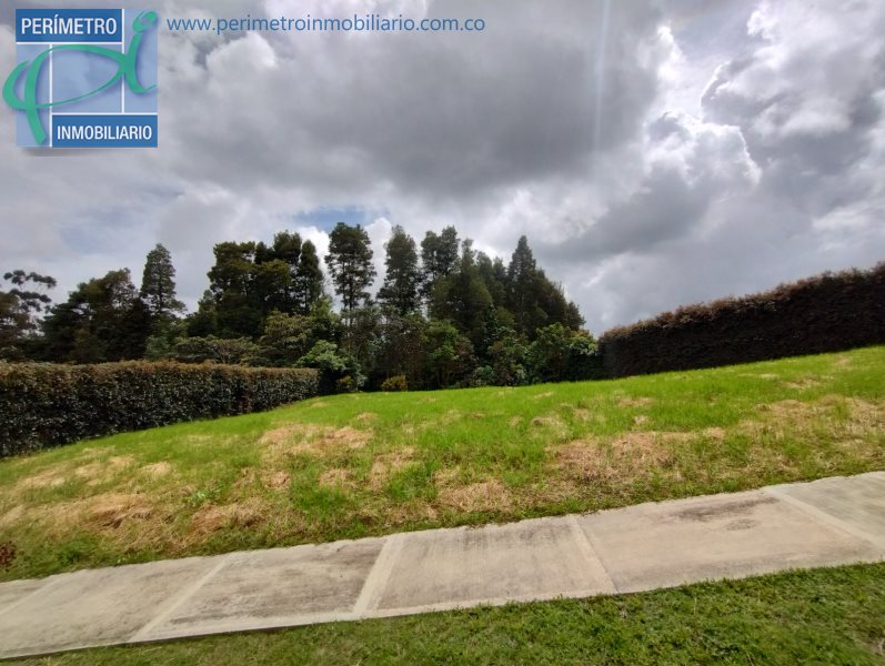 Terreno 3