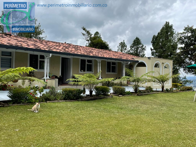 Finca 2