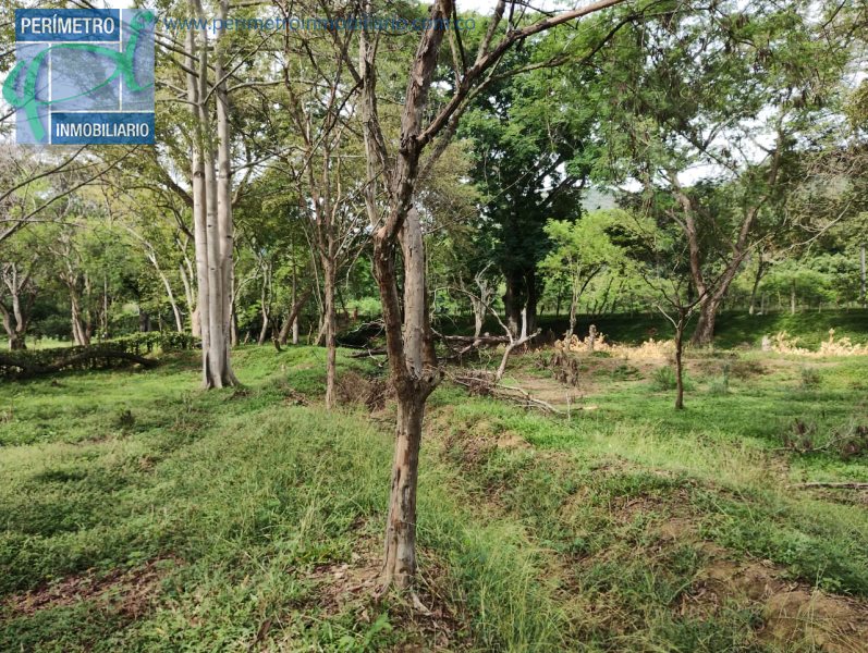 Terreno 3