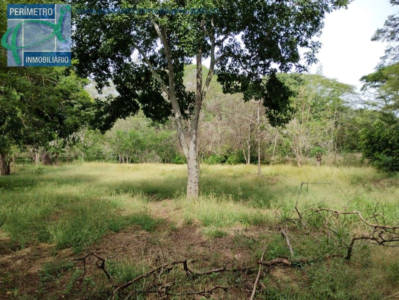 Terreno 5