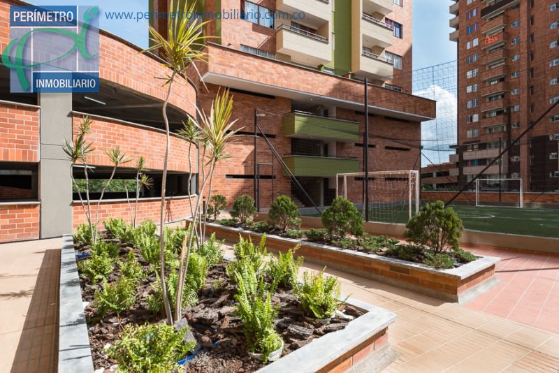 Apartamento 19