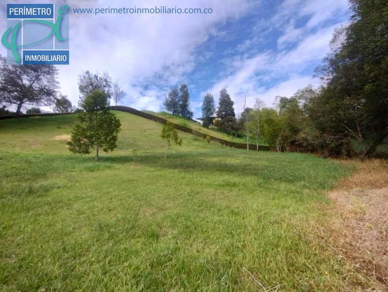 Terreno 5