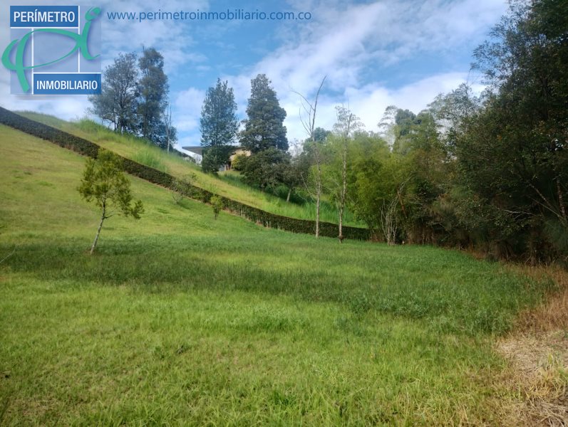 Terreno 6
