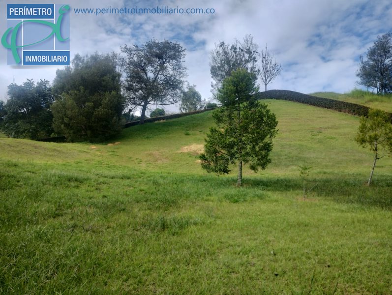Terreno 7