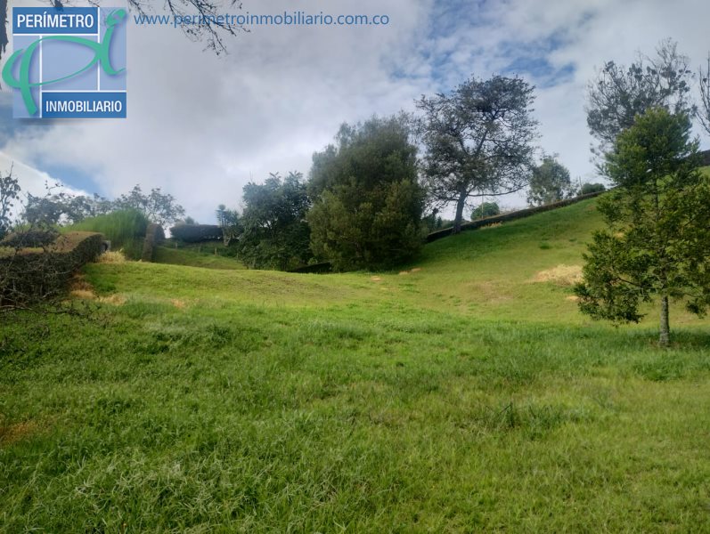 Terreno 8