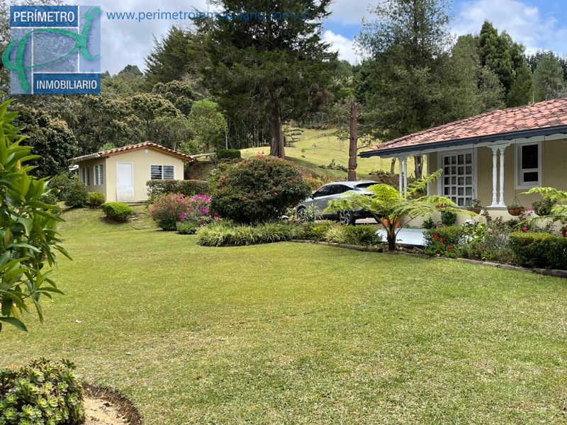 Finca 15