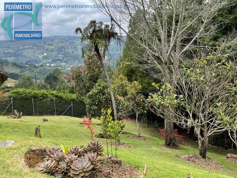 Finca 16